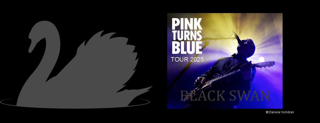 Pink Turns Blue Black Swan Tour Poster 2025